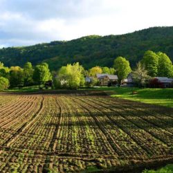 Legal Food Hub Launches in the Green Mountain State